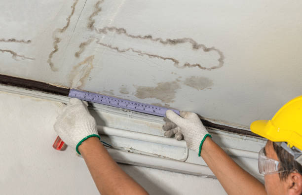 Reliable Basement Water Removal contractor in Newport, ME by Water Damage Irwin